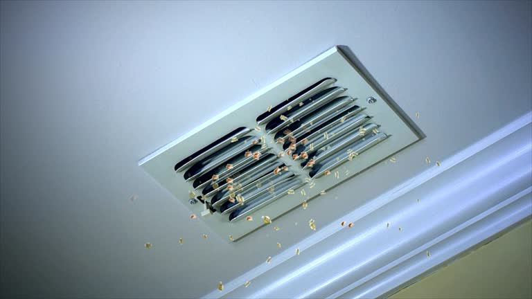 Best Home Air Vent Cleaning  in Barberton, OH